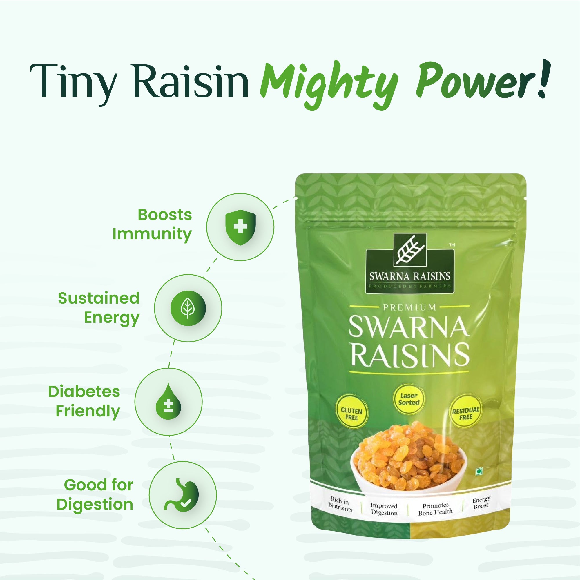 Swarna Raisins 2 Kgs 100% Pure Premium Thompson Seedless Golden Raisins