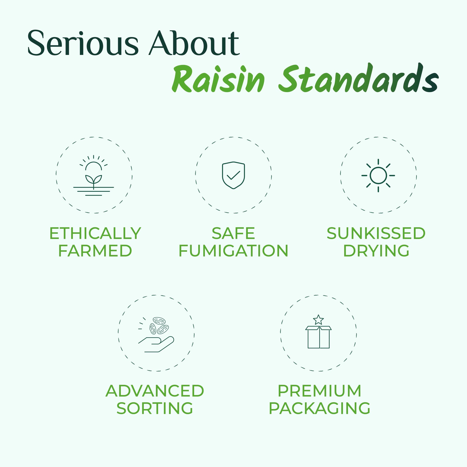 Swarna Raisins | 100 Grams | Thompson Seedless | Premium Dried Grapes Kishmish. Swarna Raisins