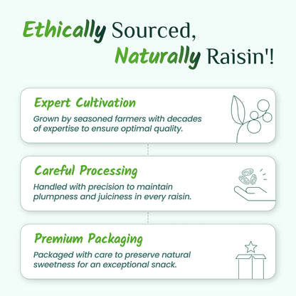 Swarna Raisins | 100 Grams | Thompson Seedless | Premium Dried Grapes Kishmish. Swarna Raisins