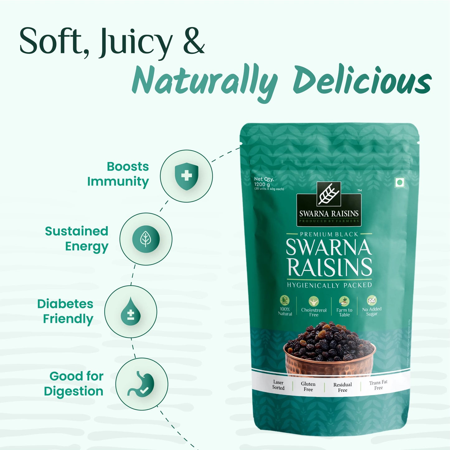 Swarna Black Raisins 40 gms (Pack of 30) - Rich in Antioxidants -  Swarna Raisins