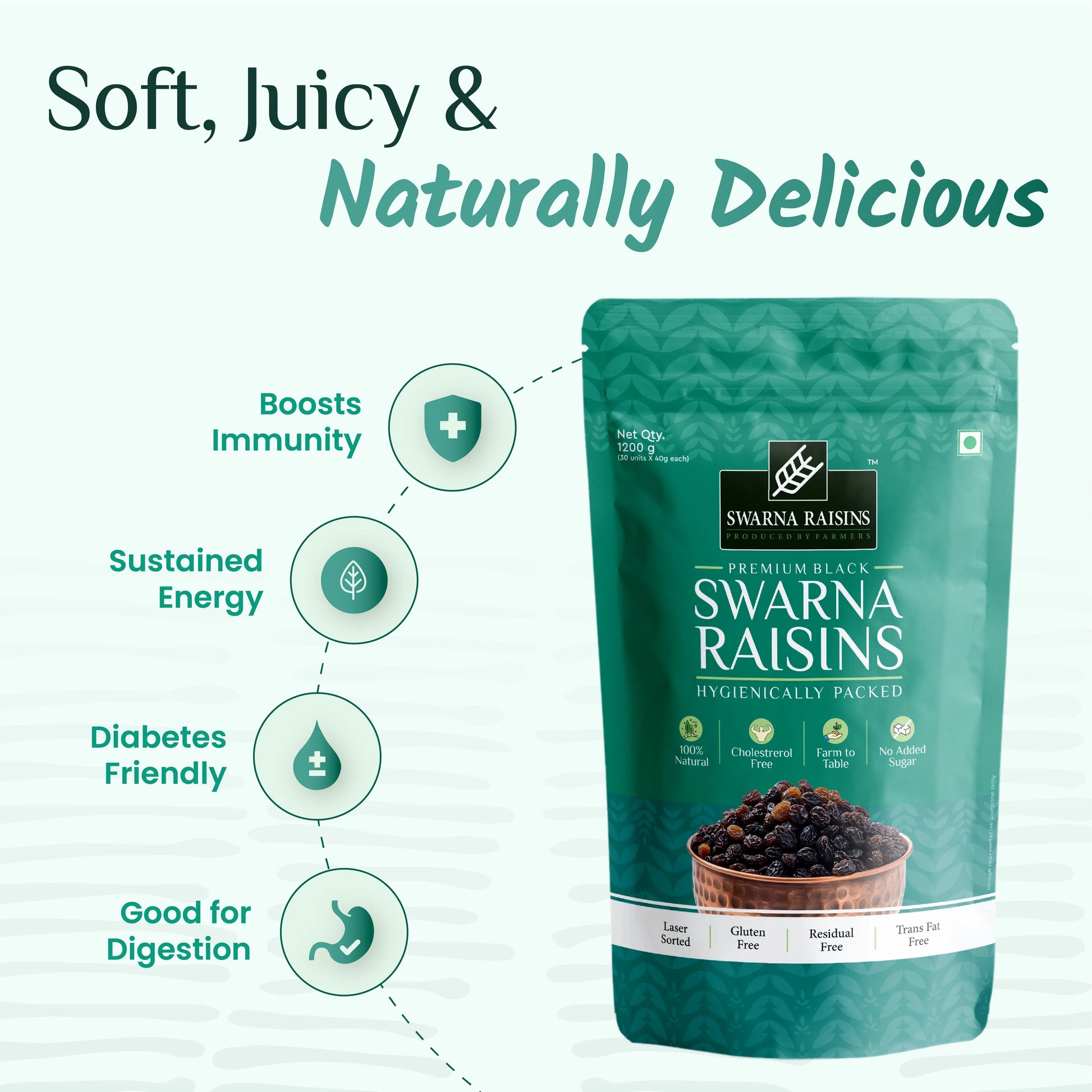 Swarna Black Raisins 40 gms (Pack of 30) - Rich in Antioxidants -  Swarna Raisins