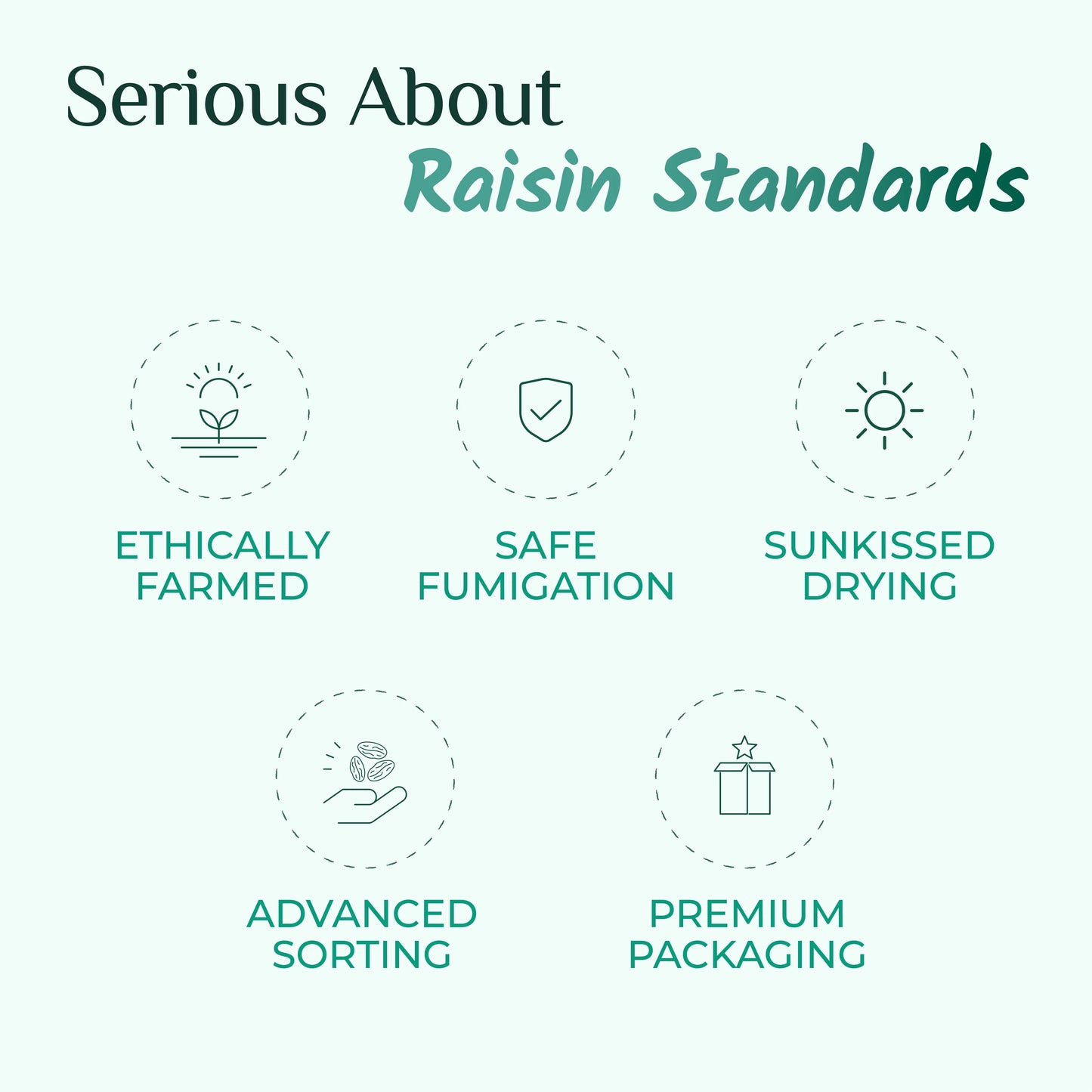 Swarna Black Raisins 40 gms (Pack of 30) - Rich in Antioxidants -  Swarna Raisins