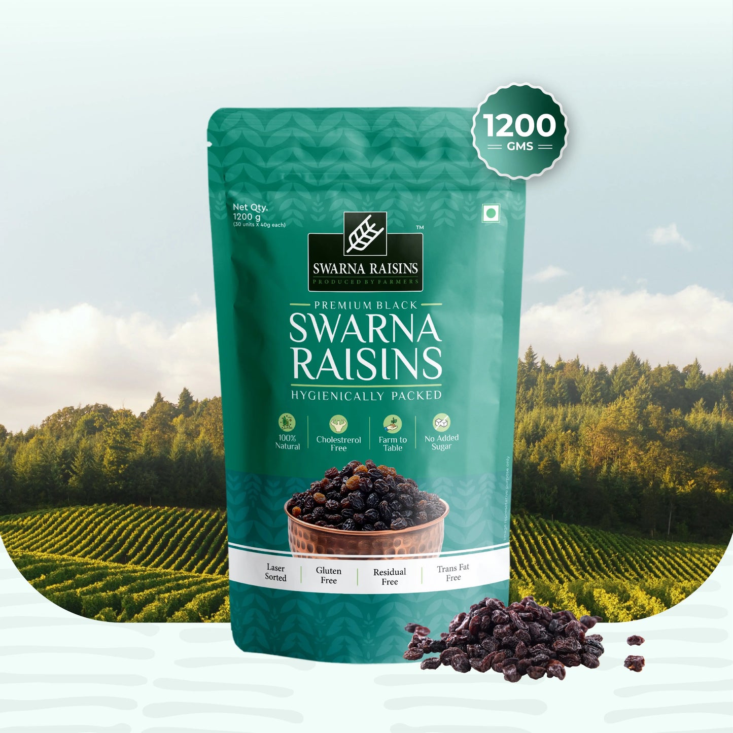 Swarna Black Raisins 40 gms (Pack of 30) - Rich in Antioxidants -  Swarna Raisins