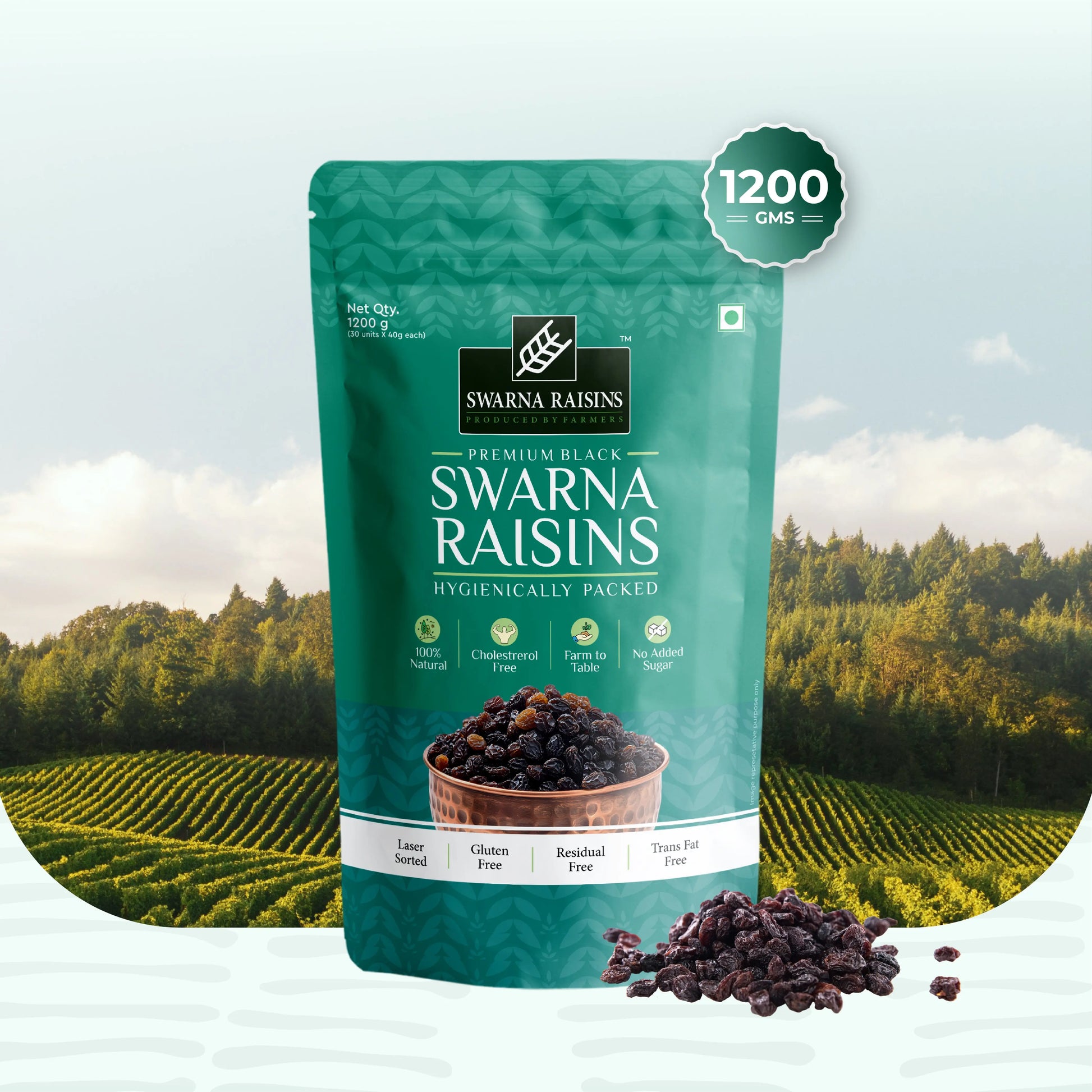 Swarna Black Raisins 40 gms (Pack of 30) - Rich in Antioxidants -  Swarna Raisins
