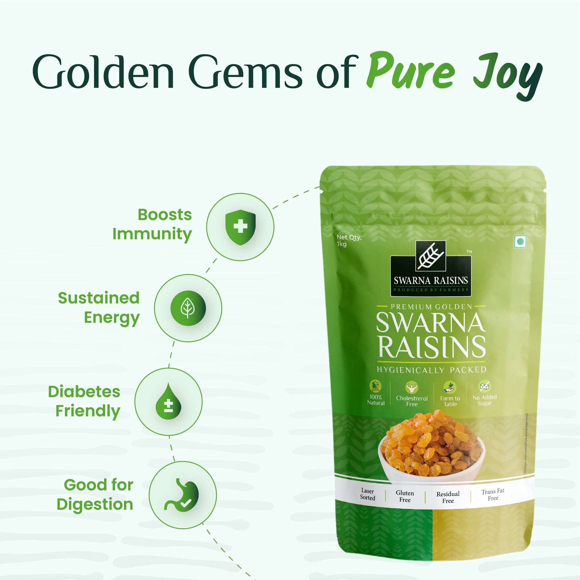 Swarna Raisins 1 Kgs 100% Pure Premium Thompson Seedless Golden Raisins -  Swarna Raisins