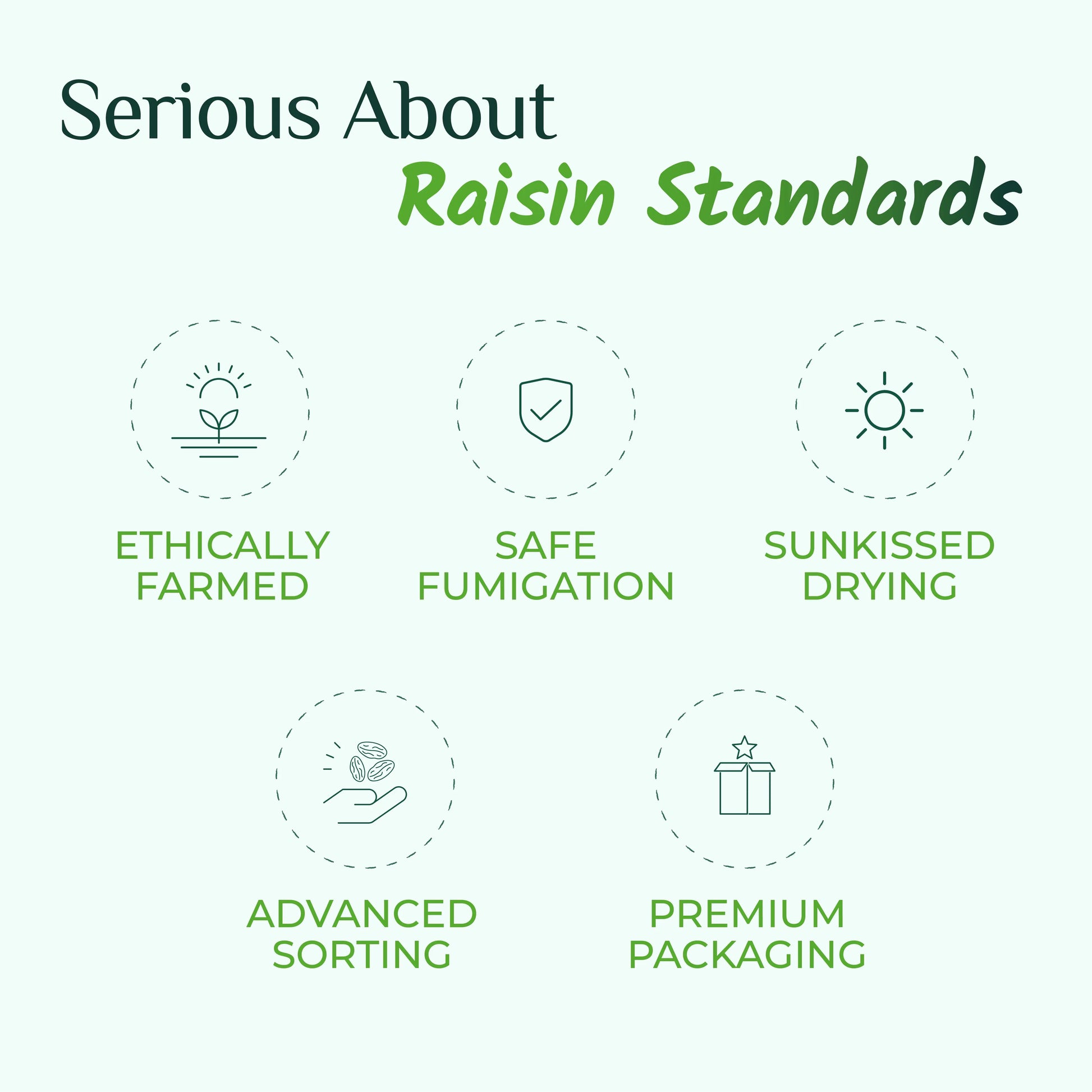 Swarna Raisins 1 Kgs 100% Pure Premium Thompson Seedless Golden Raisins -  Swarna Raisins