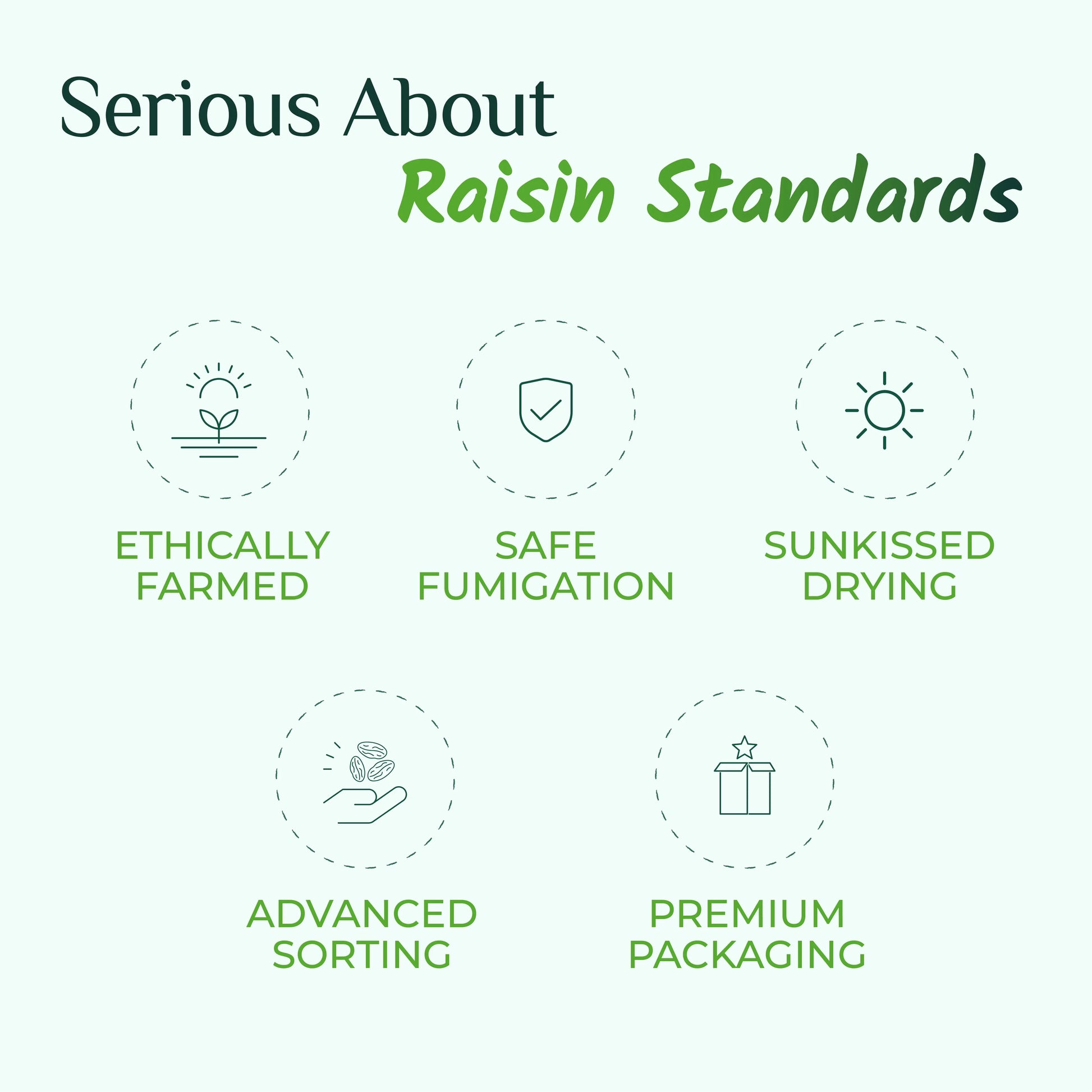 Swarna Raisins 200 grams 100% Pure Premium Thompson Seedless Golden Raisins Swarna Raisins