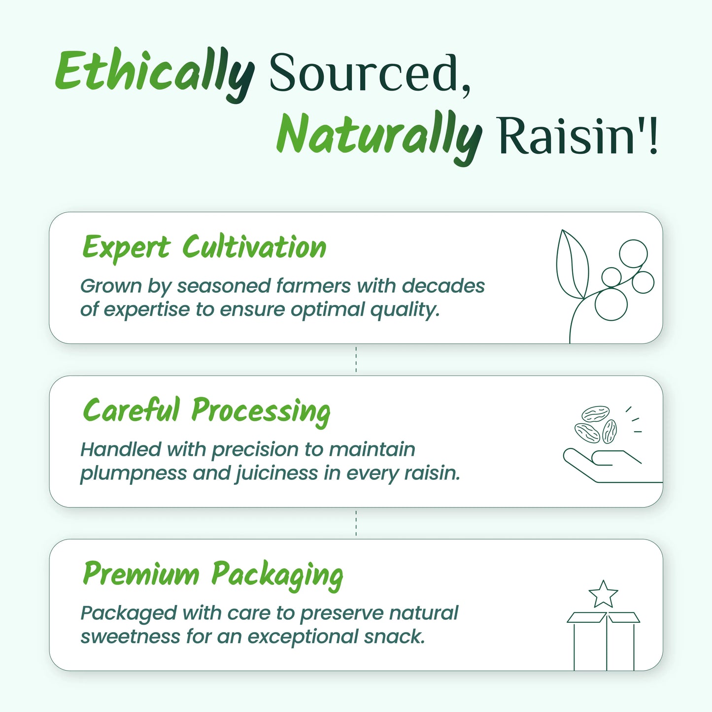 Swarna Raisins 200 grams 100% Pure Premium Thompson Seedless Golden Raisins Swarna Raisins
