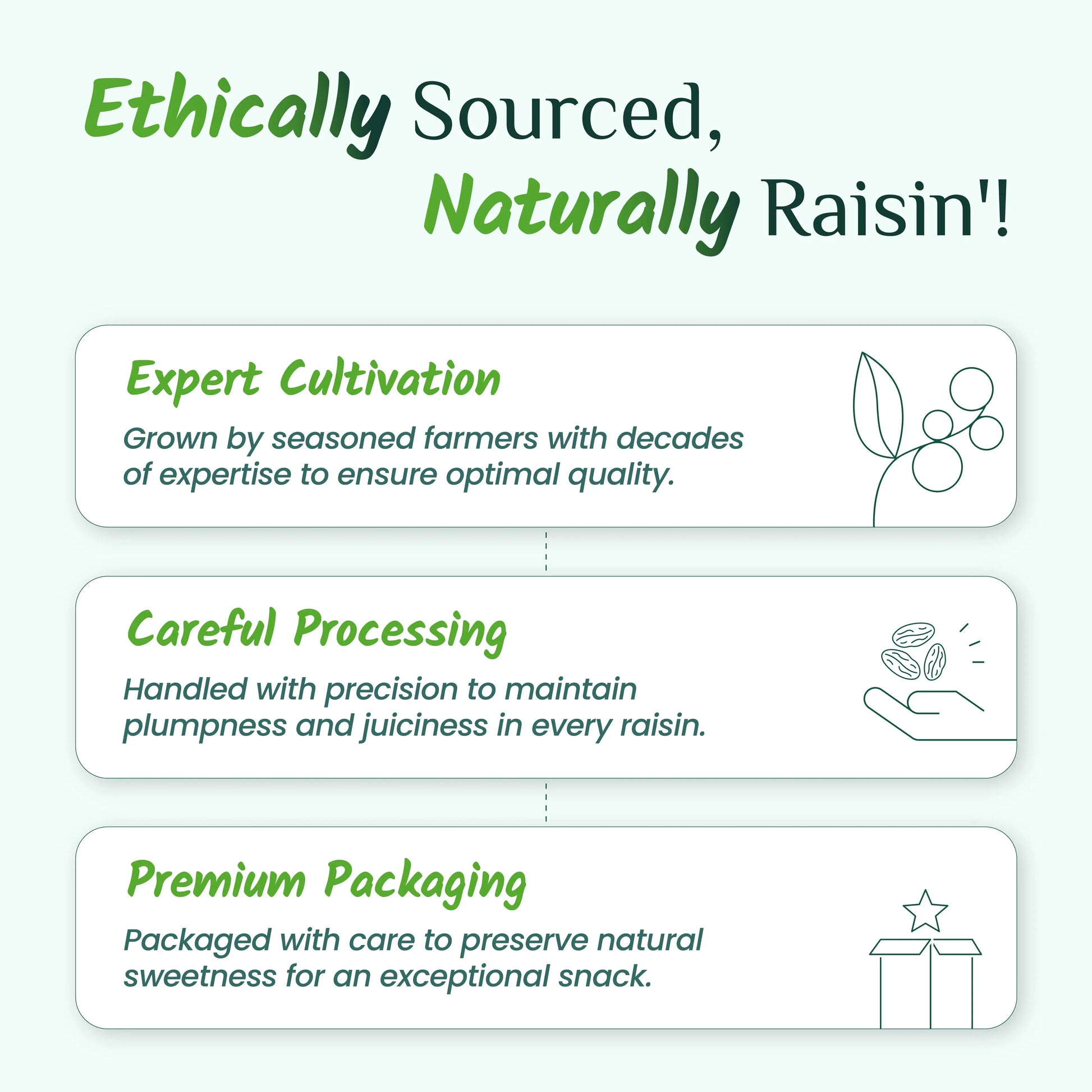 Swarna Raisins 200 grams 100% Pure Premium Thompson Seedless Golden Raisins Swarna Raisins