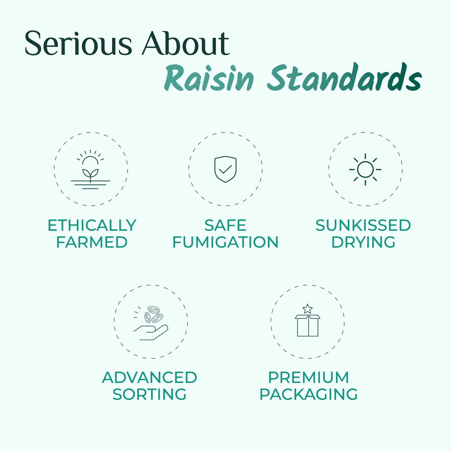 Swarna Black Raisins 500 gms - Rich in Antioxidants -  Swarna Raisins