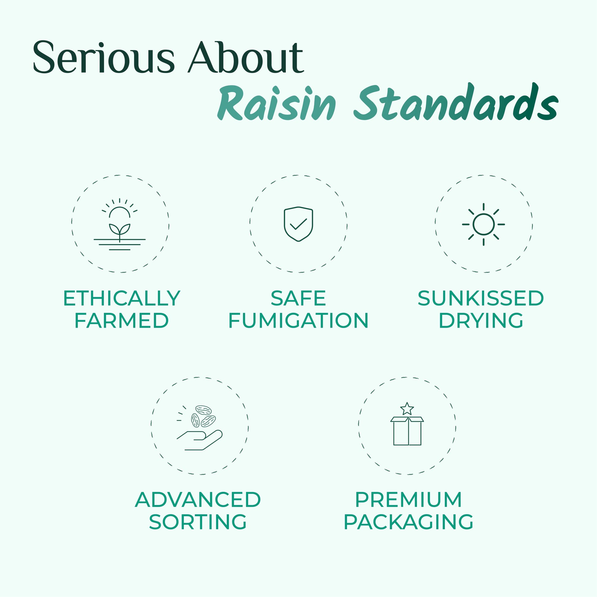 Swarna Black Raisins 500 gms - Rich in Antioxidants -  Swarna Raisins