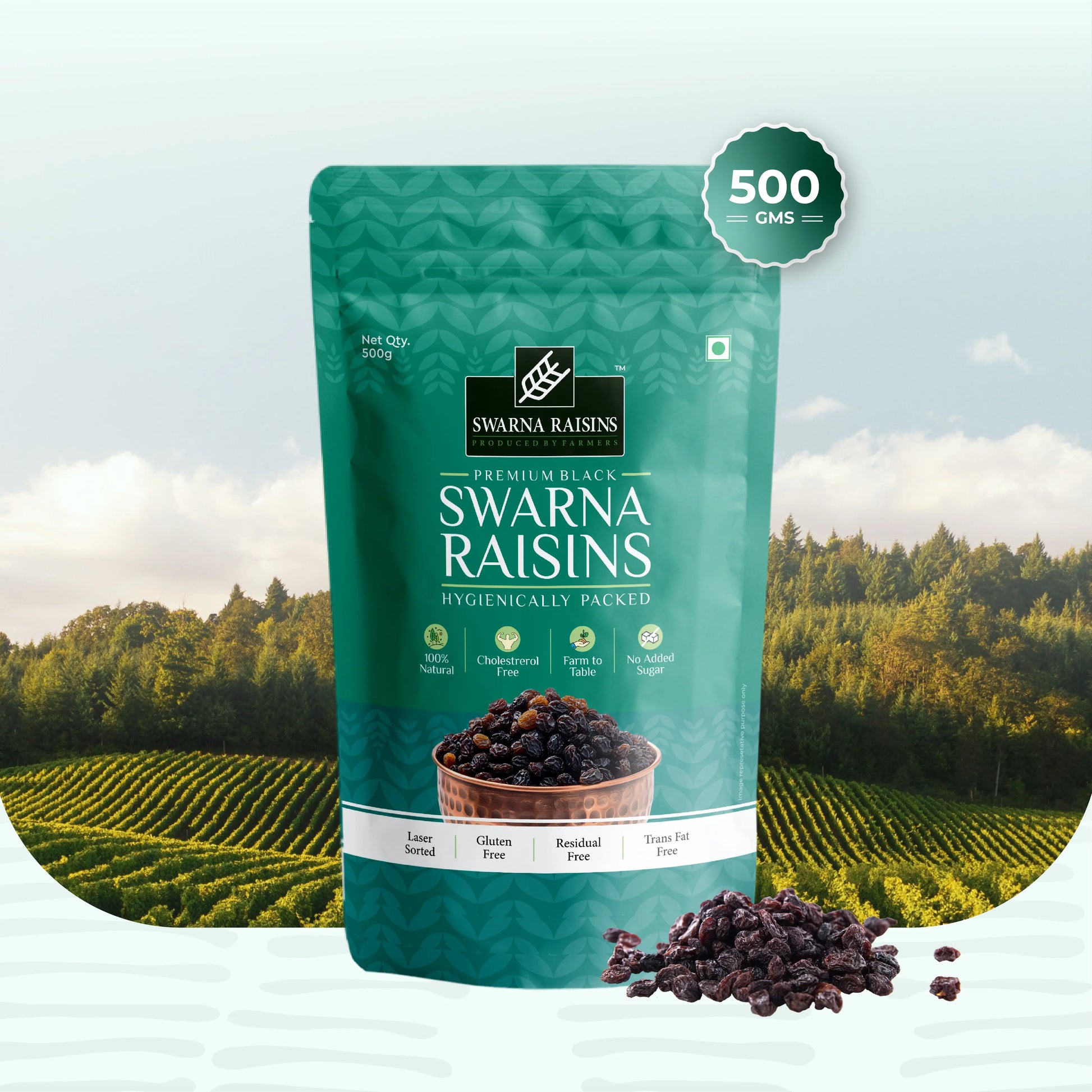 Swarna Black Raisins 500 gms - Rich in Antioxidants -  Swarna Raisins