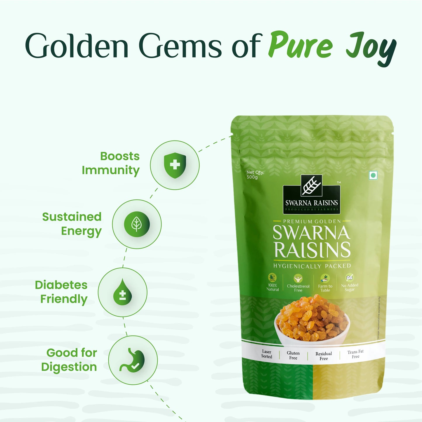 Swarna Raisins 500 grams 100% Pure Premium Thompson Seedless Golden Raisins -  Swarna Raisins