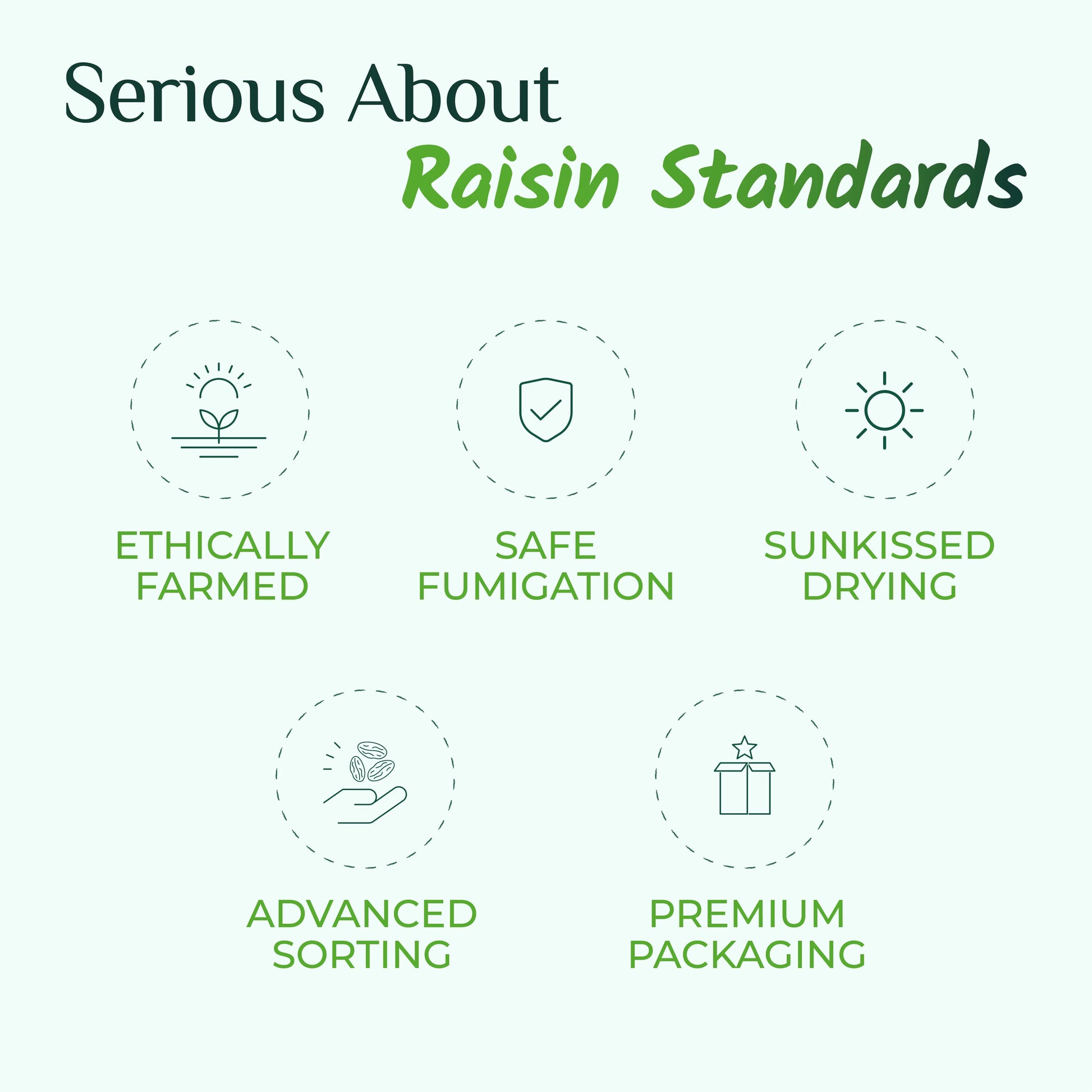 Swarna Raisins 500 grams 100% Pure Premium Thompson Seedless Golden Raisins -  Swarna Raisins