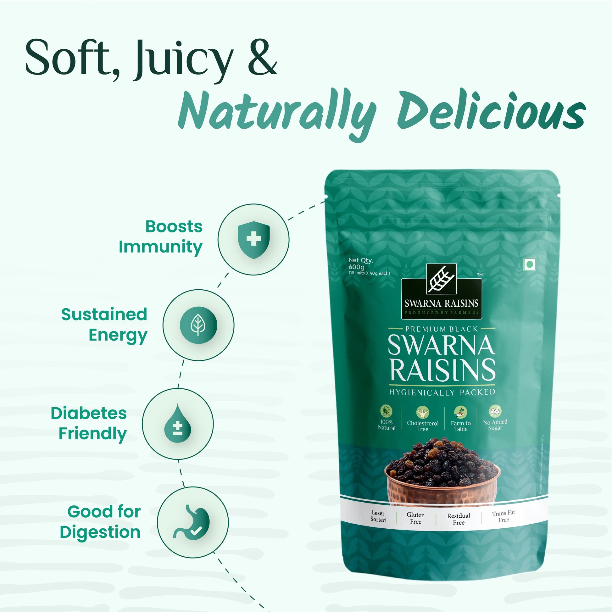 Swarna Black Raisins 40 gms (Pack of 15) - Rich in Antioxidants -  Swarna Raisins