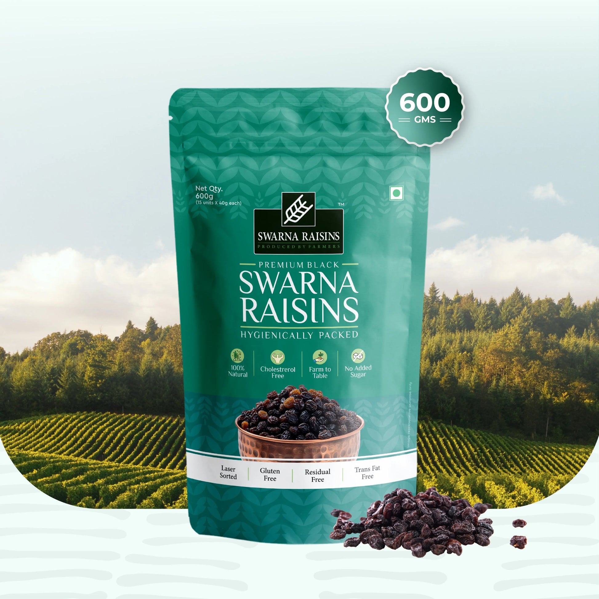Swarna Black Raisins 40 gms (Pack of 15) - Rich in Antioxidants -  Swarna Raisins