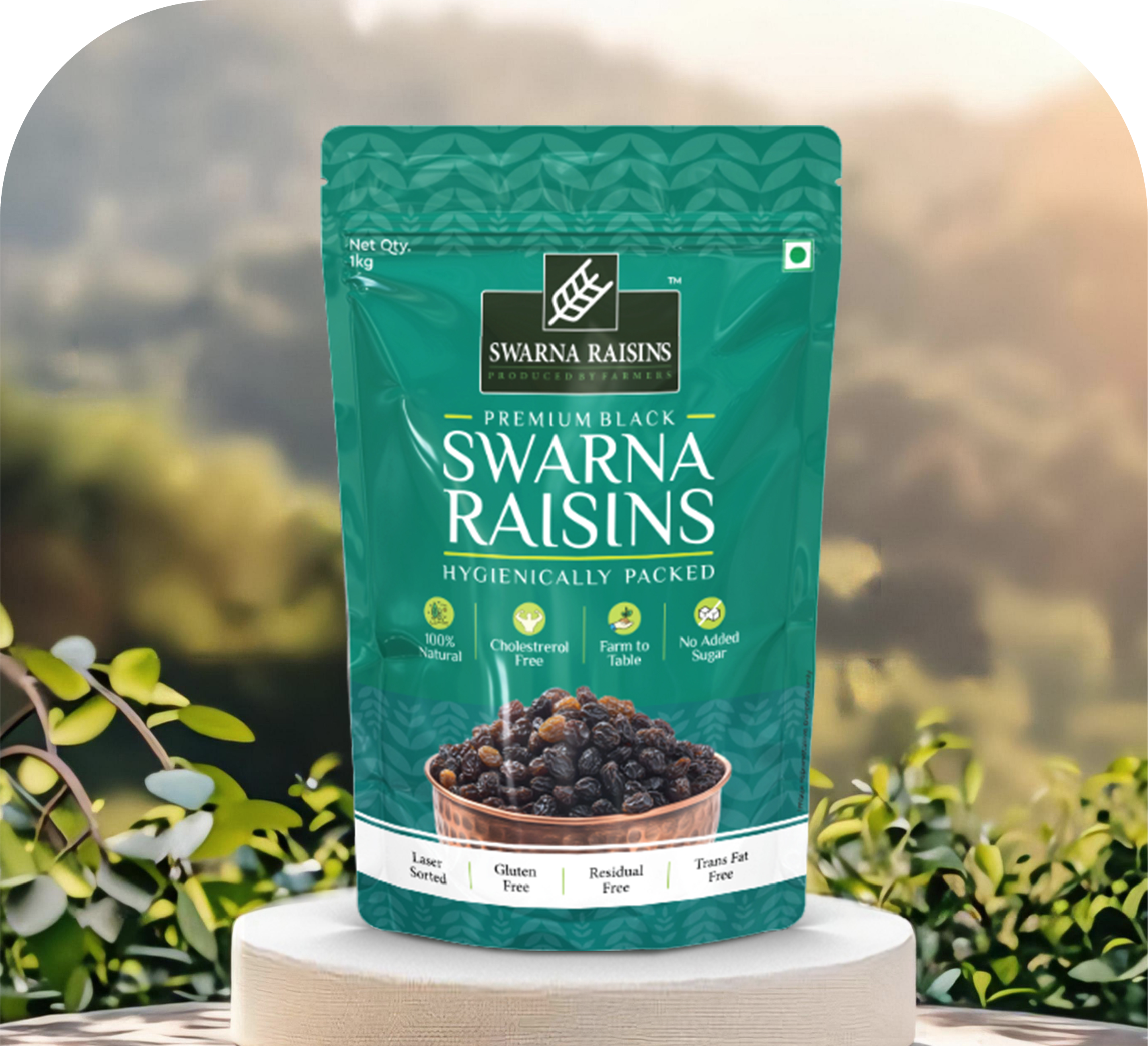 Naturally Dries Seedless Black Kishmish Pack of 500gms